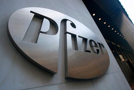 Pfizer and Novamedika to invest in pharmaceutical plant in Kaluga Region